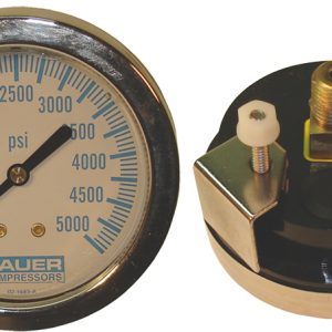 "S" Panel Mount 0-1500 psi gauge